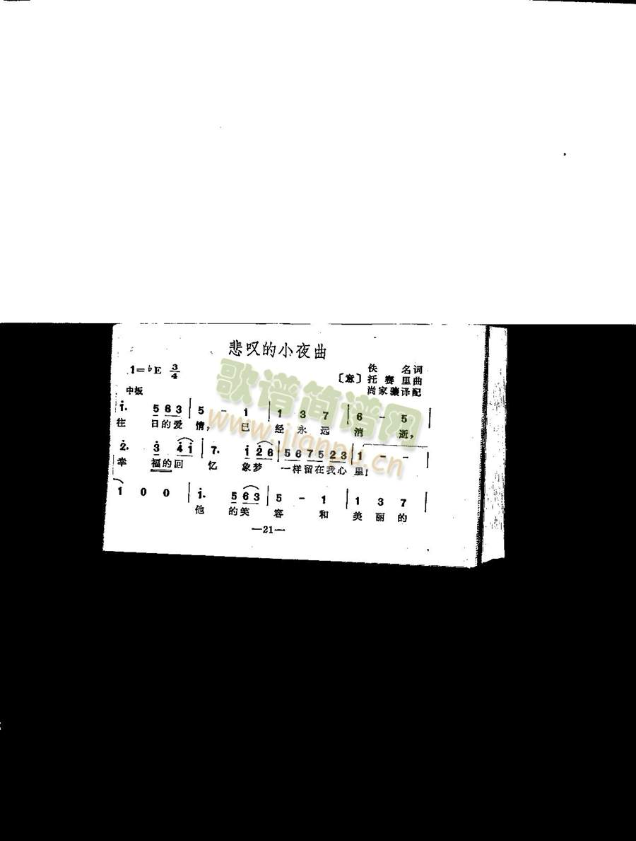 ���@Сҹ��(���ָ��V)1