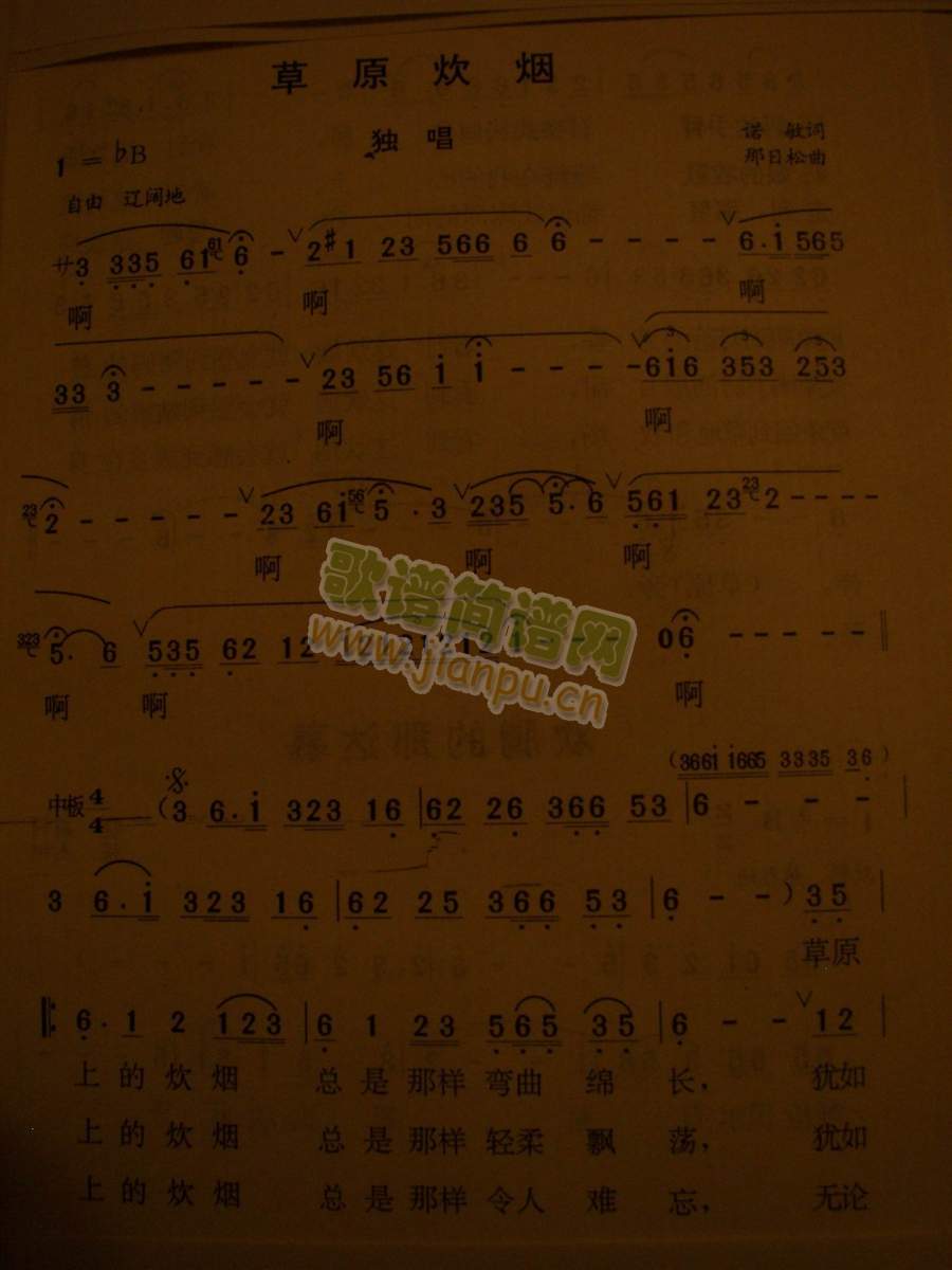 ��ԭ����(���ָ��V)1