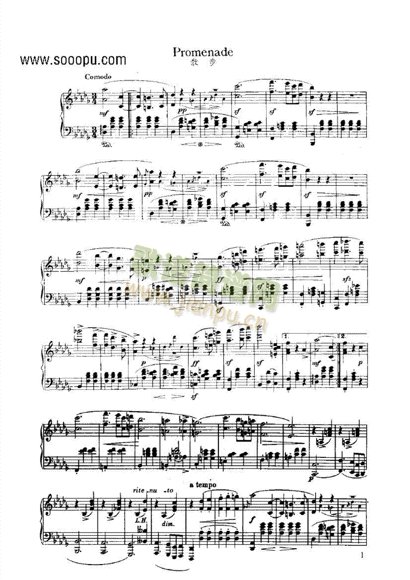 ɢ��(����V)1