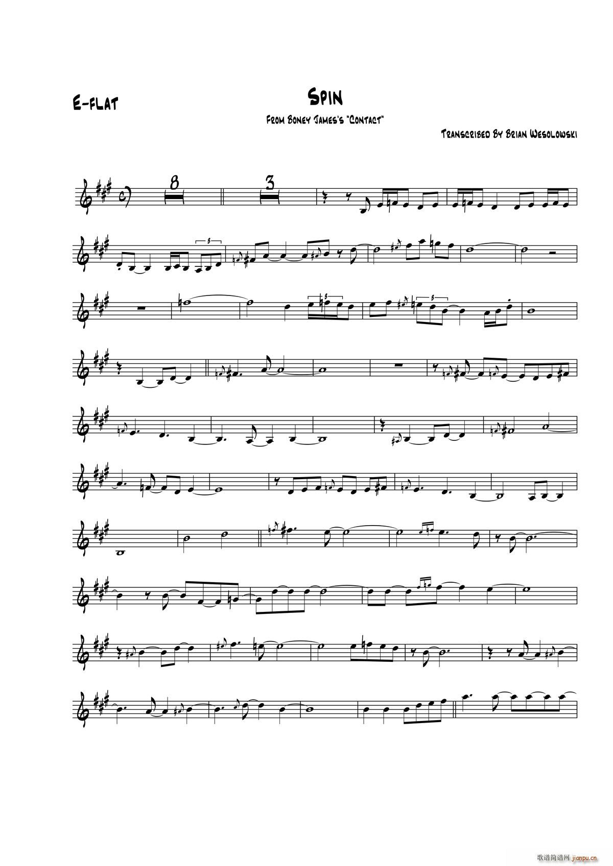 Spin E flat(ʮ�ּ�����)1