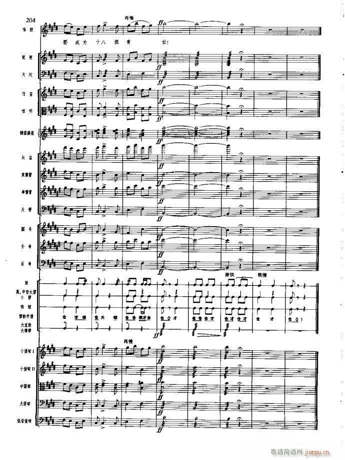 ɳ��� 181 220(���V)24