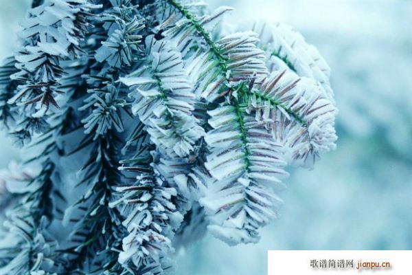 ���� �߈@�� ѩ(���ָ��V)5