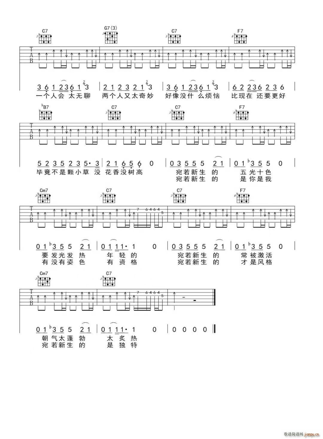 �������� C�{(�����V)3