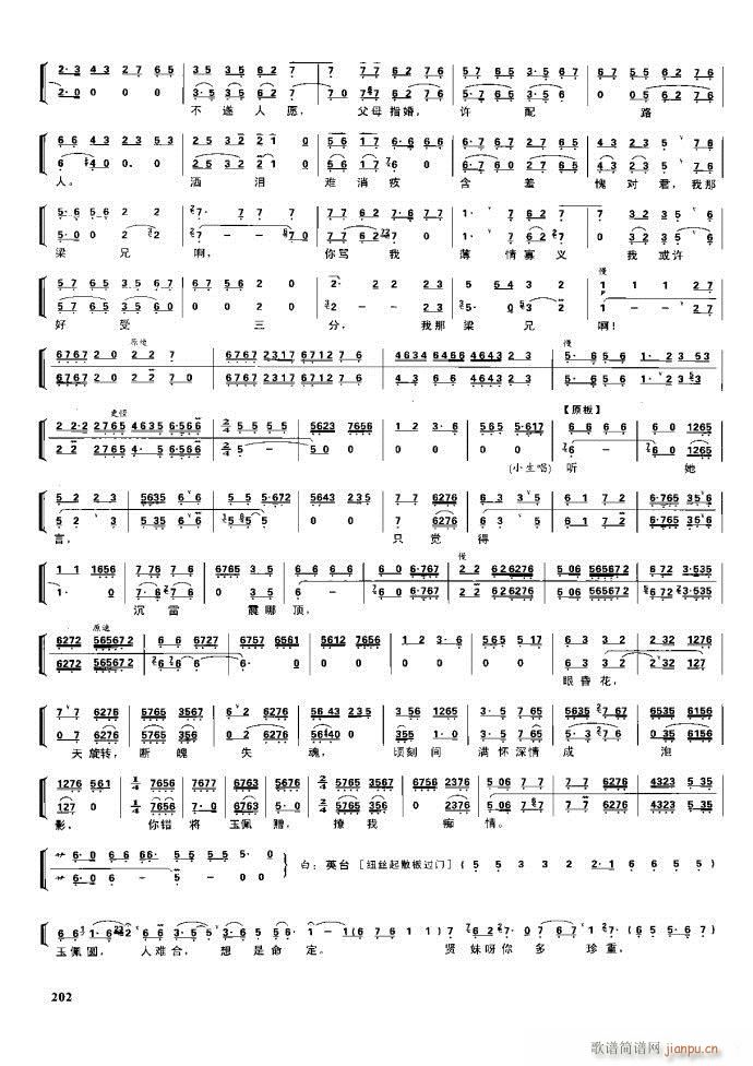 ����� �����F�� 162 220(�������V)40