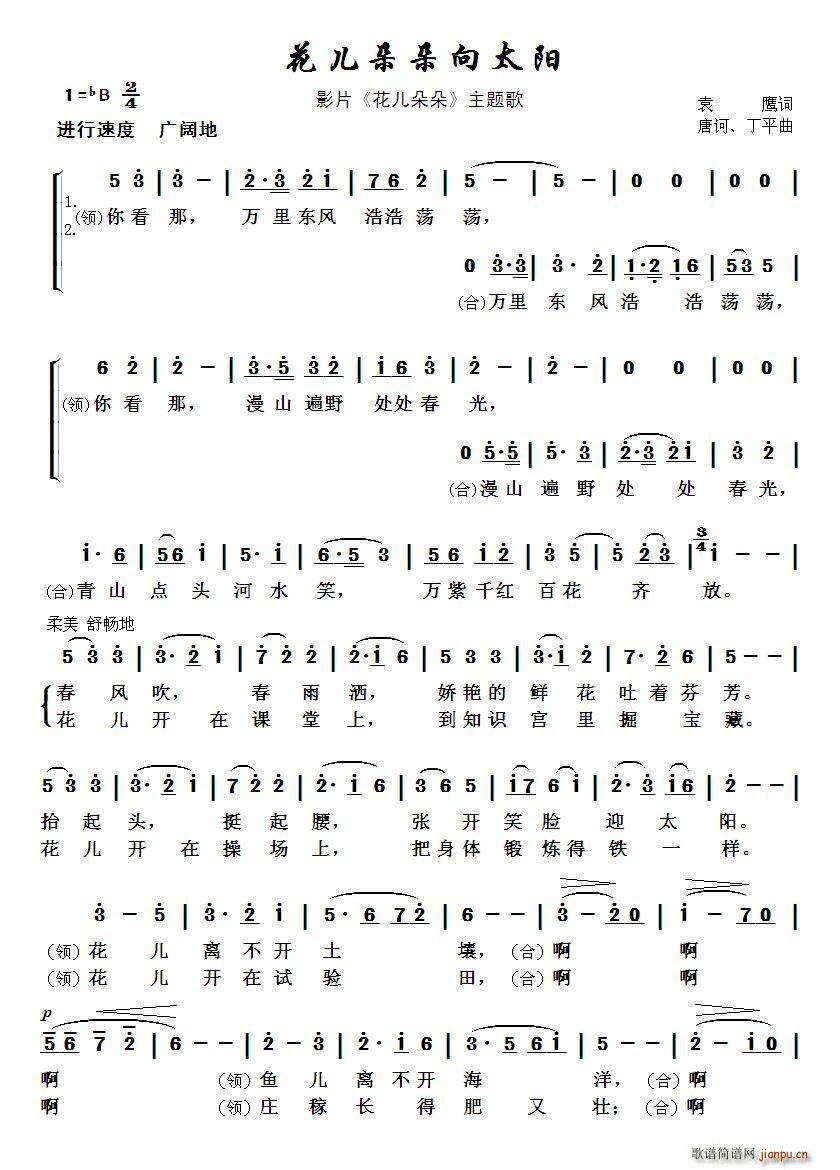 ���������̫�(y��ng) �ك�����(ʮ�ּ�����)1