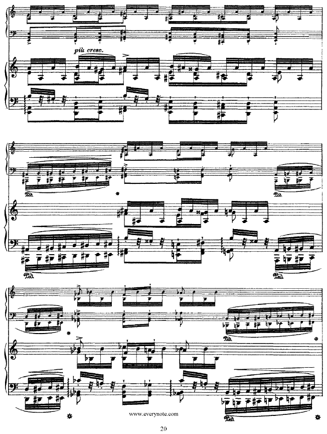 ��������(����V)20