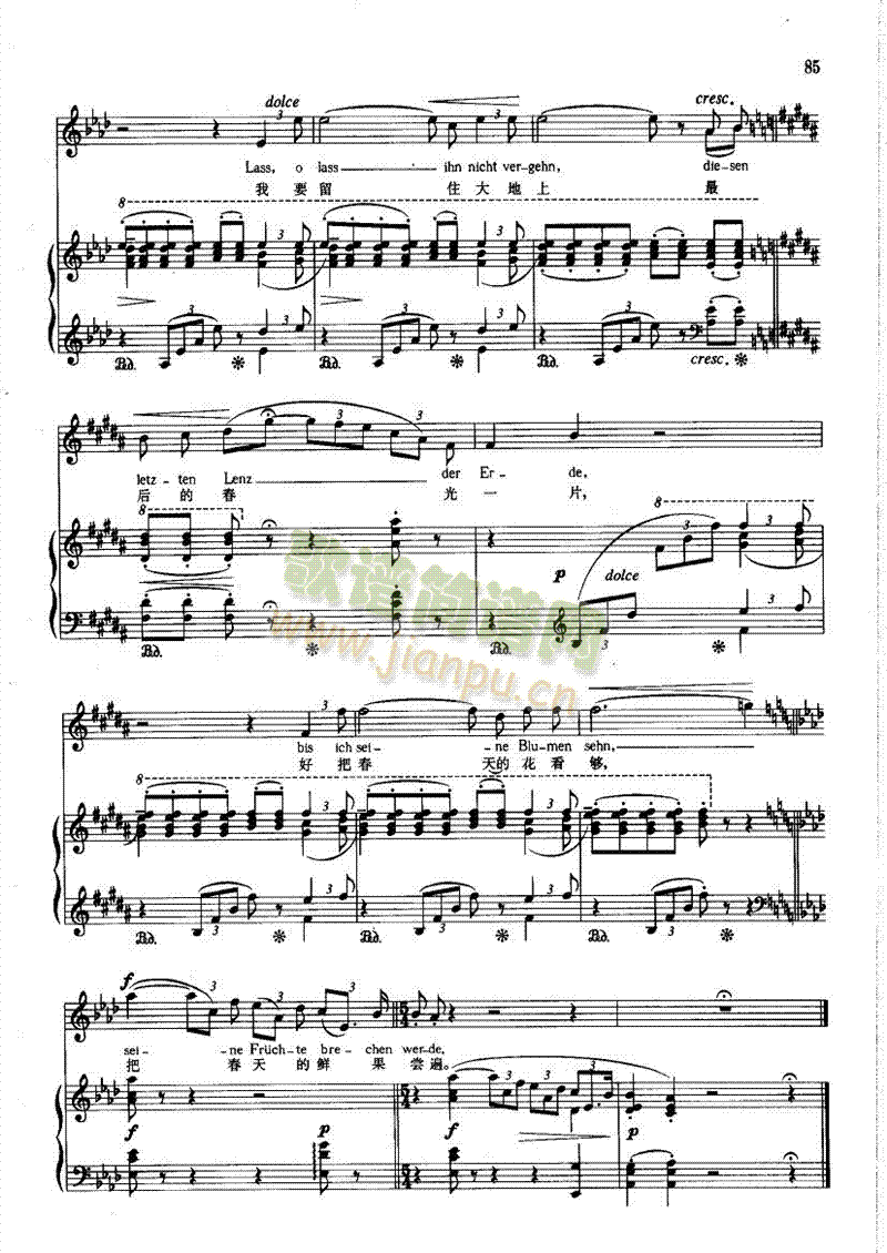 �{�۾�����ˮӯӯ�����(l��i)��ٰ����V(������(l�� )�V)5