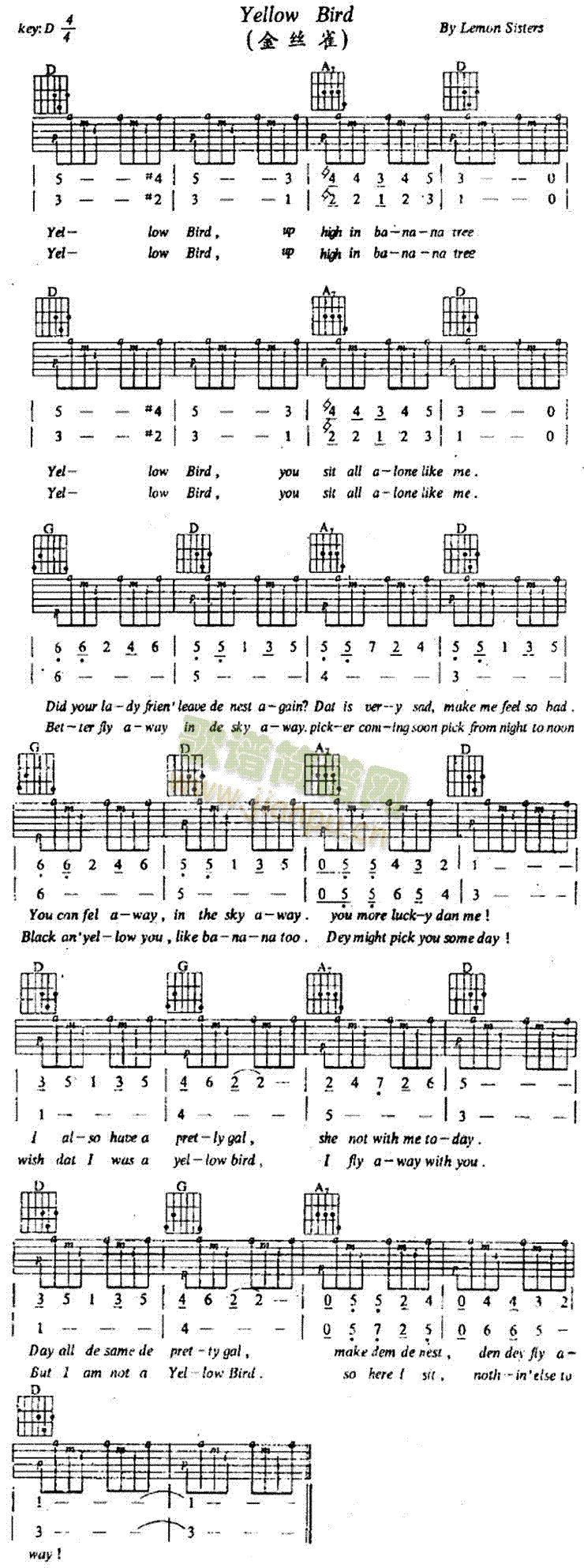 YellowBird(�����V)1