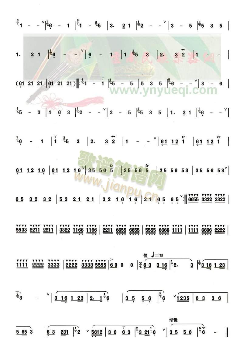 ����(���J�z�V)3