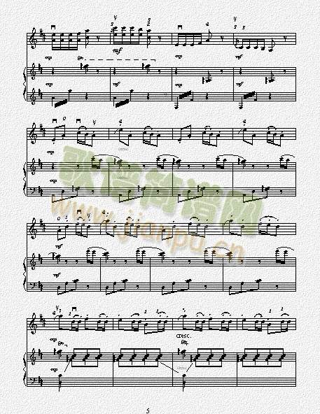 �����g(����V)5