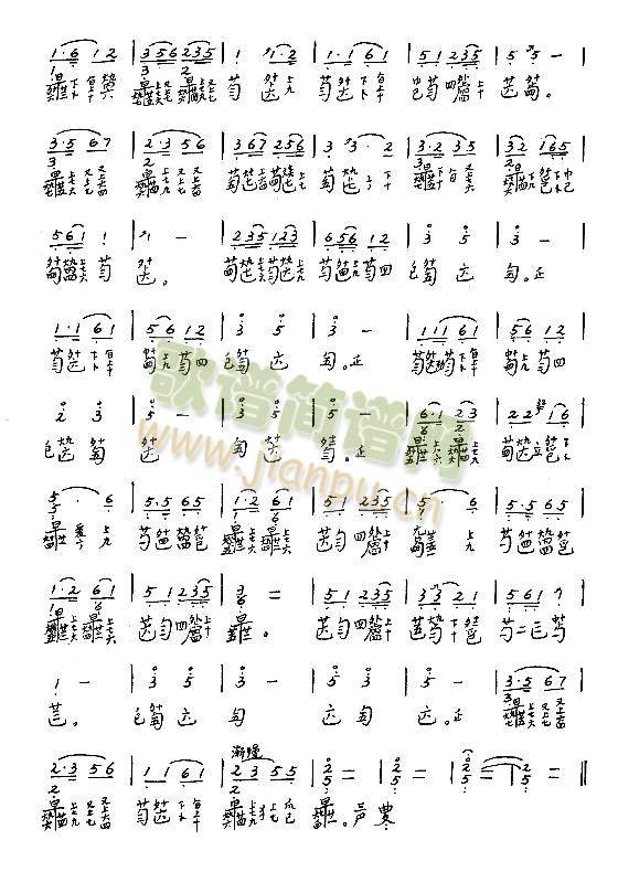 �����_�m25-31(����)7