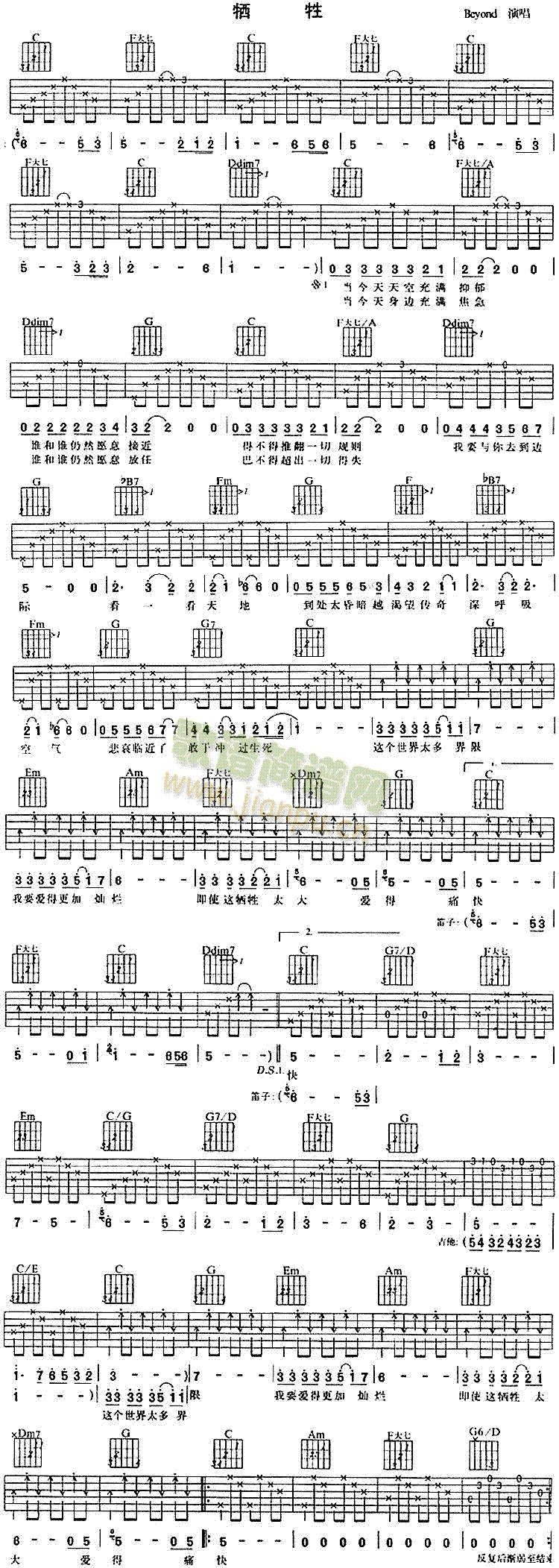 ����(���ָ��V)1