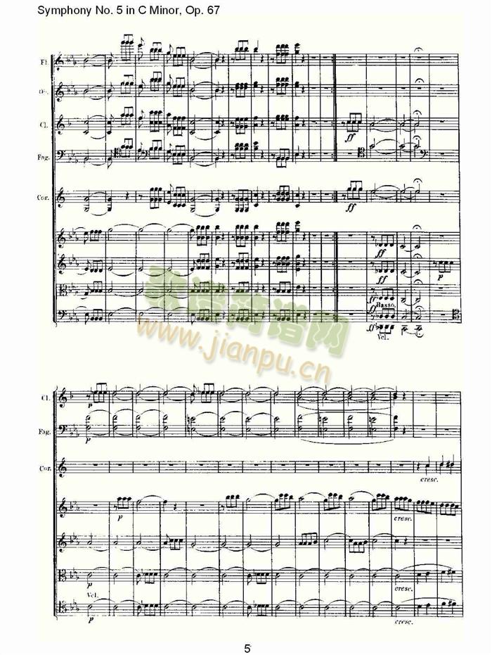 C���{���彻���(���V)5