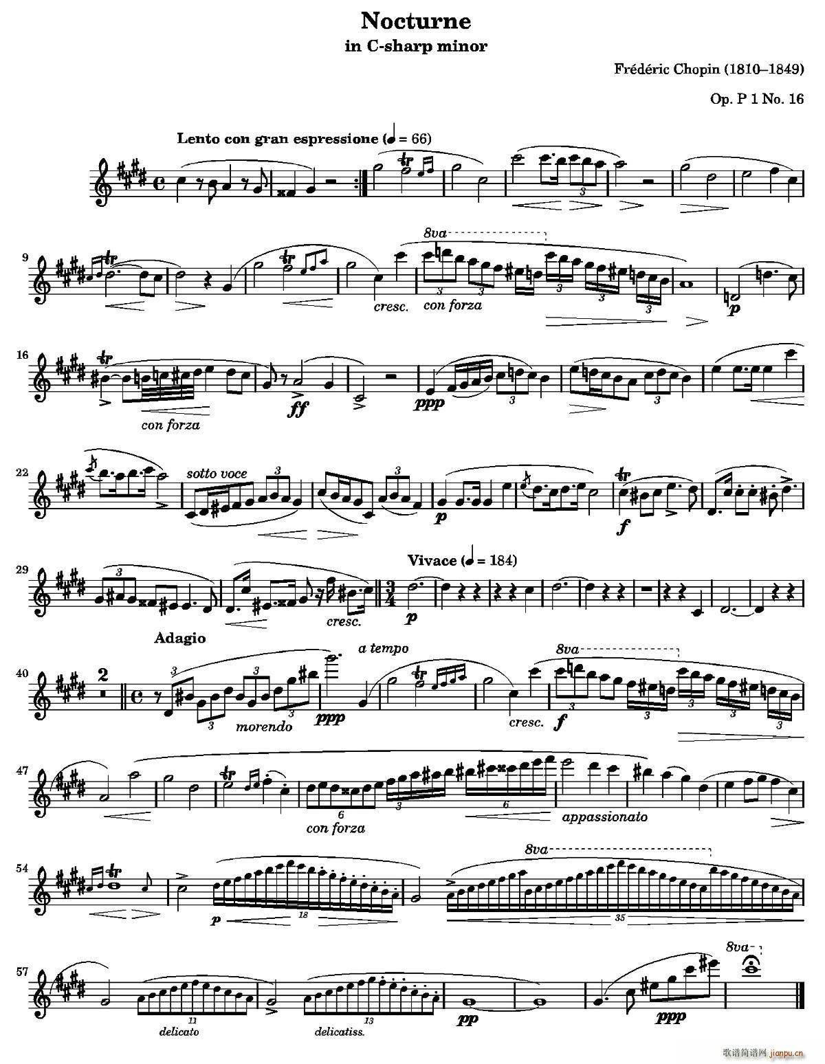 Nocturne ҹ����20����CС�{(�Ѻ��V)1