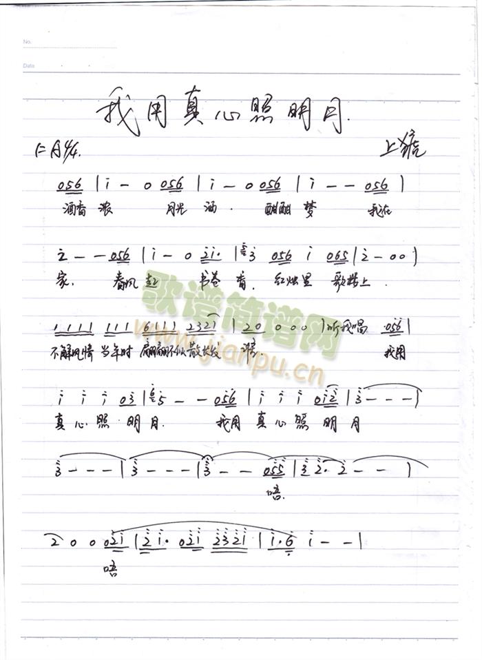 ��������������(���ָ��V)1