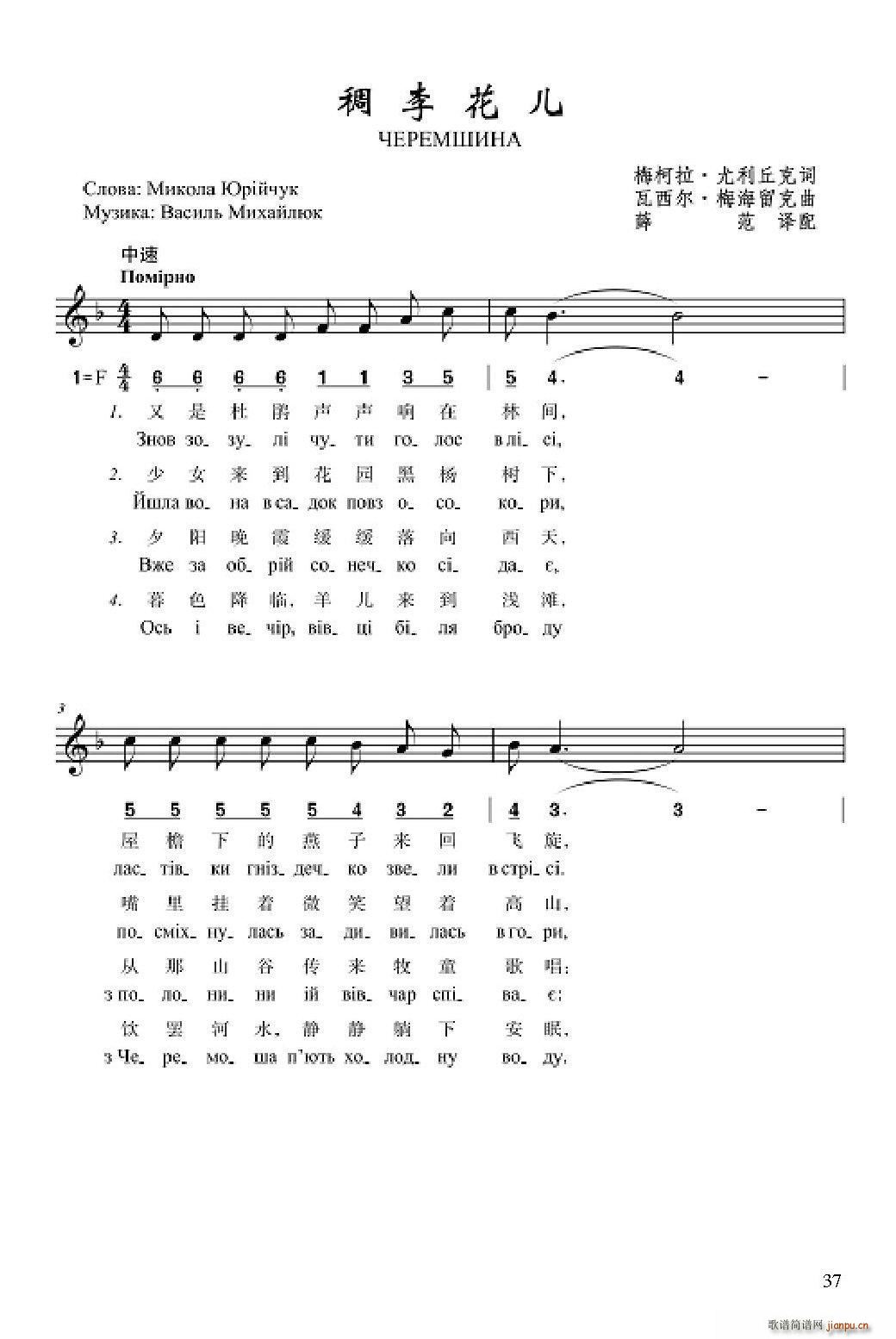 �����(���ָ��V)1