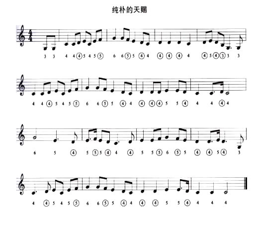 ��������n(����)1