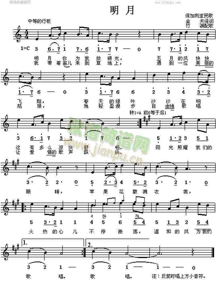 ����(���ָ��V)1