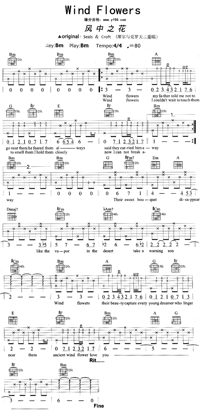 WindFlowers(ʮ�ּ�����)1