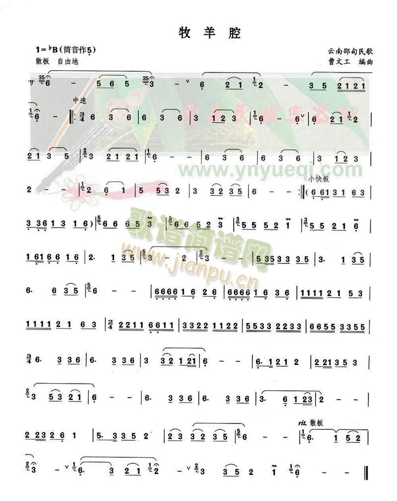 ����ǻ(���J�z�V)1