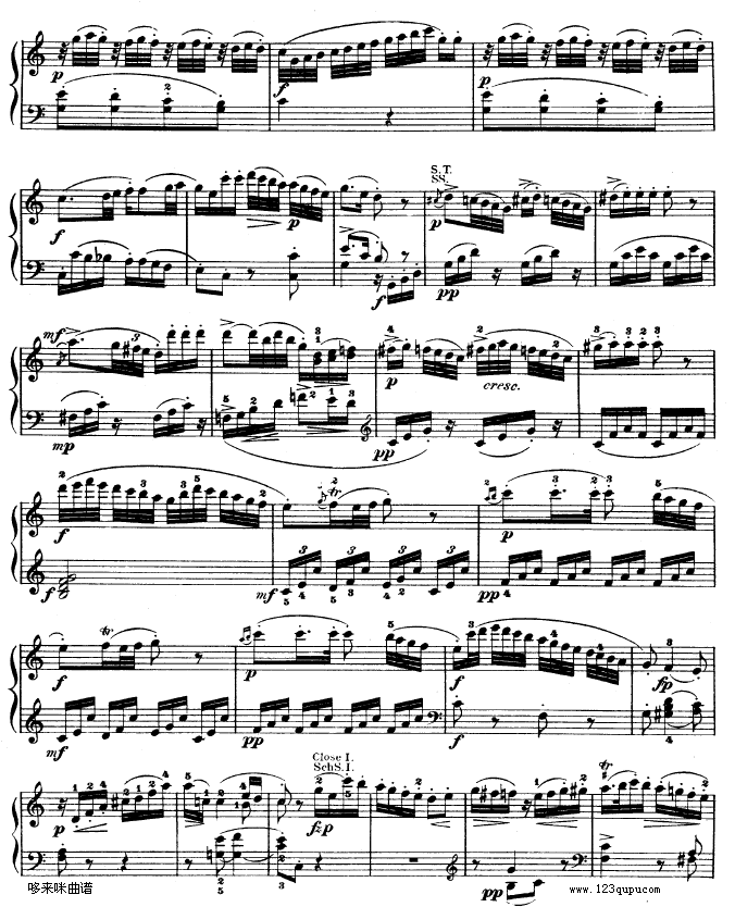 ������Q��kv330-Ī����(����V)5