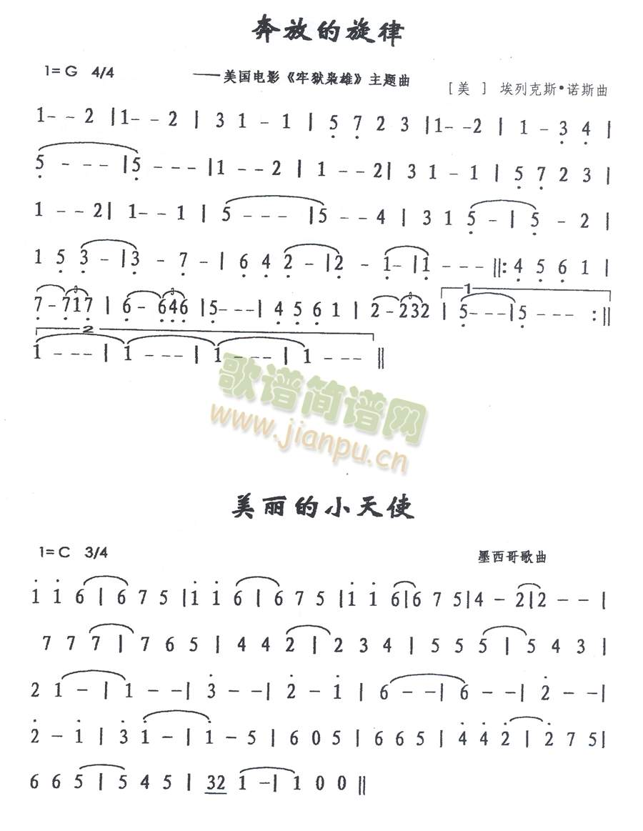 ���ŵ�����∙(ʮ�ּ�����)1