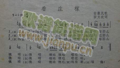 ���f��(���ָ��V)1