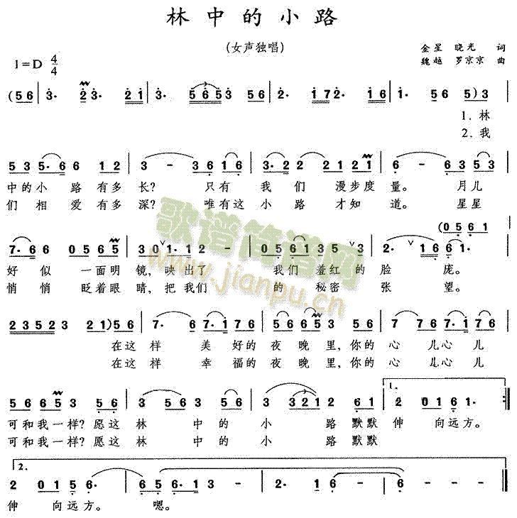 ���е�С·(���ָ��V)1