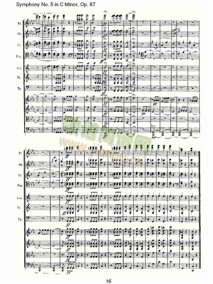 C���{���彻���(���V)16