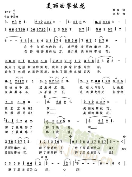 ��������֦��(���ָ��V)1