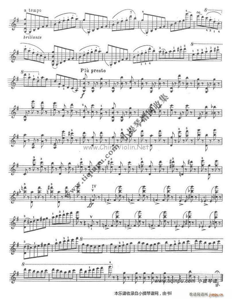 �_���_�� ������(���ָ��V)6