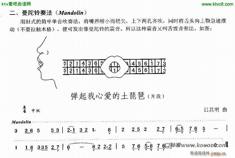 ������෨����(�����V)1