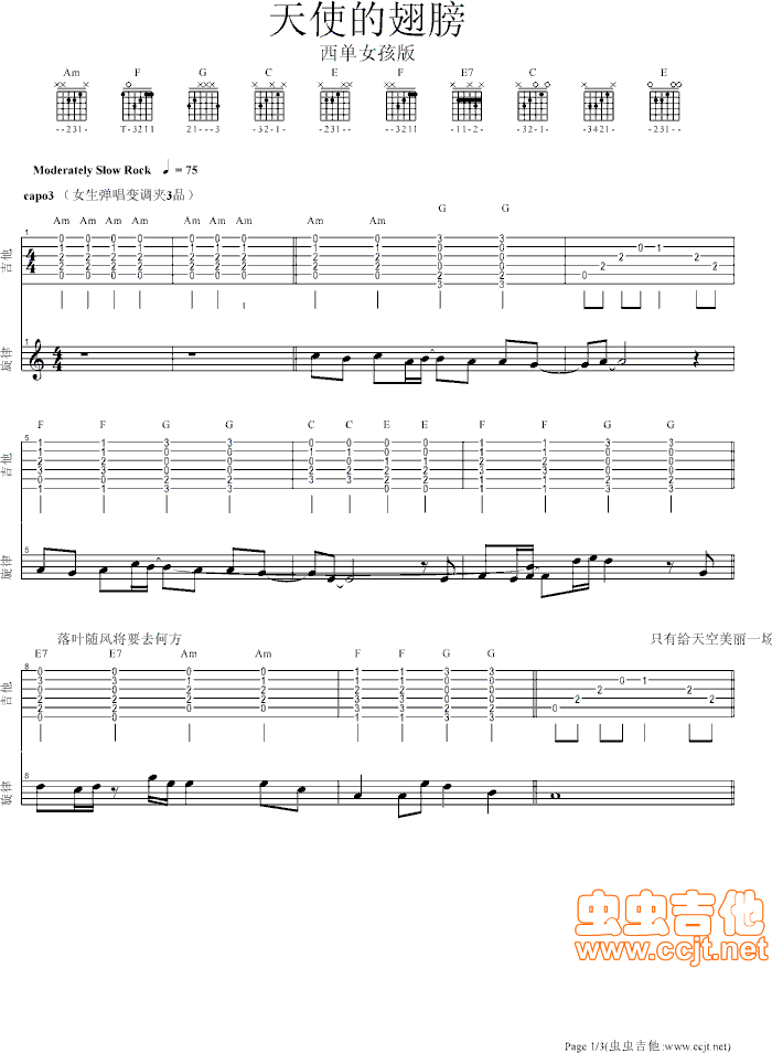 ��ʹ�ĳ��������Ů����(ʮ�ּ�����)1