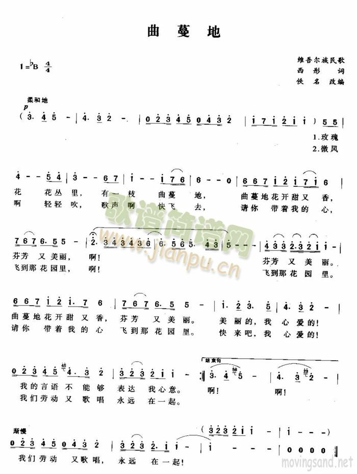 ������(���ָ��V)1