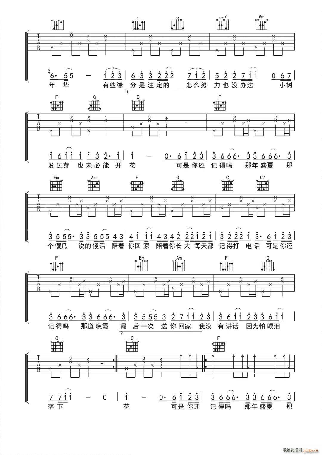 �������� C�{(�����V)3