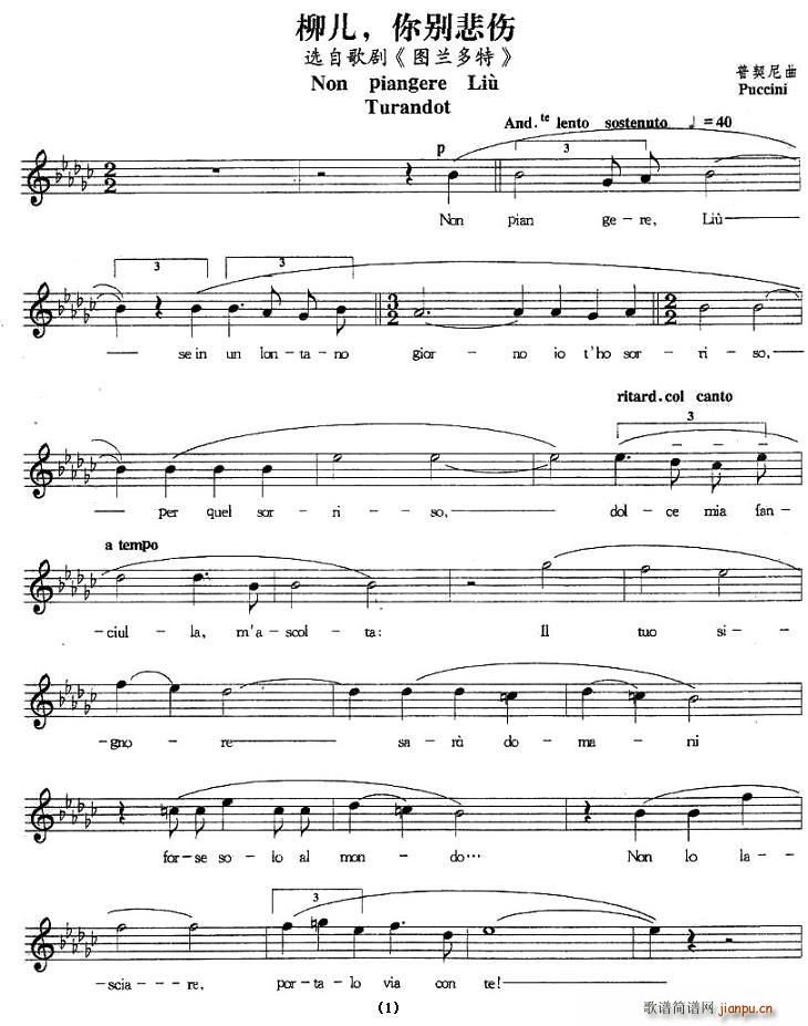 �������e����(���ָ��V)1