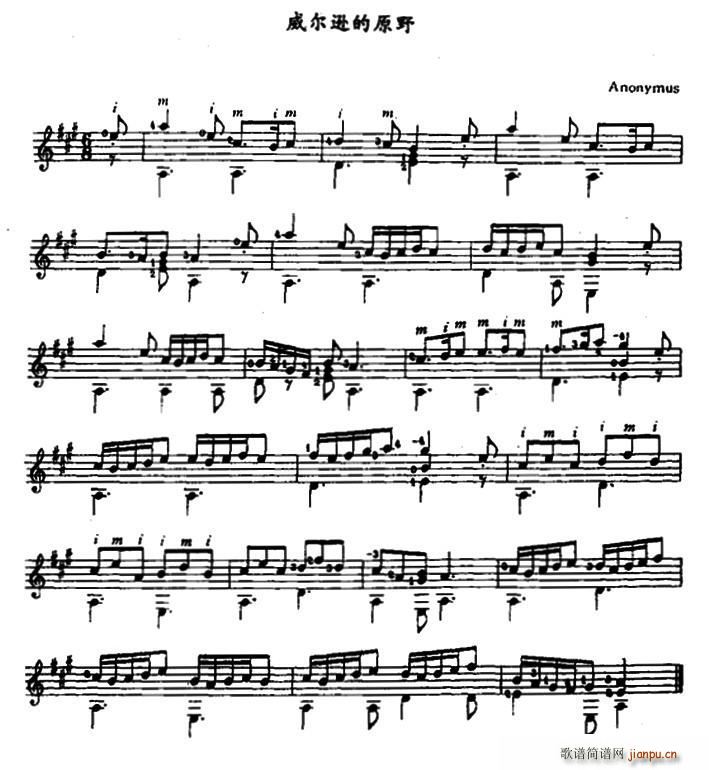 �����d��ԭҰ �ŵ伪��(�����V)1