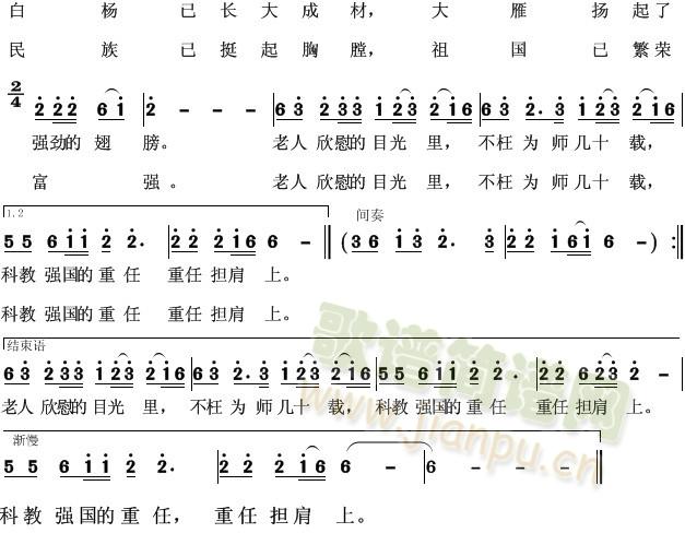 ��ο(���ָ��V)1