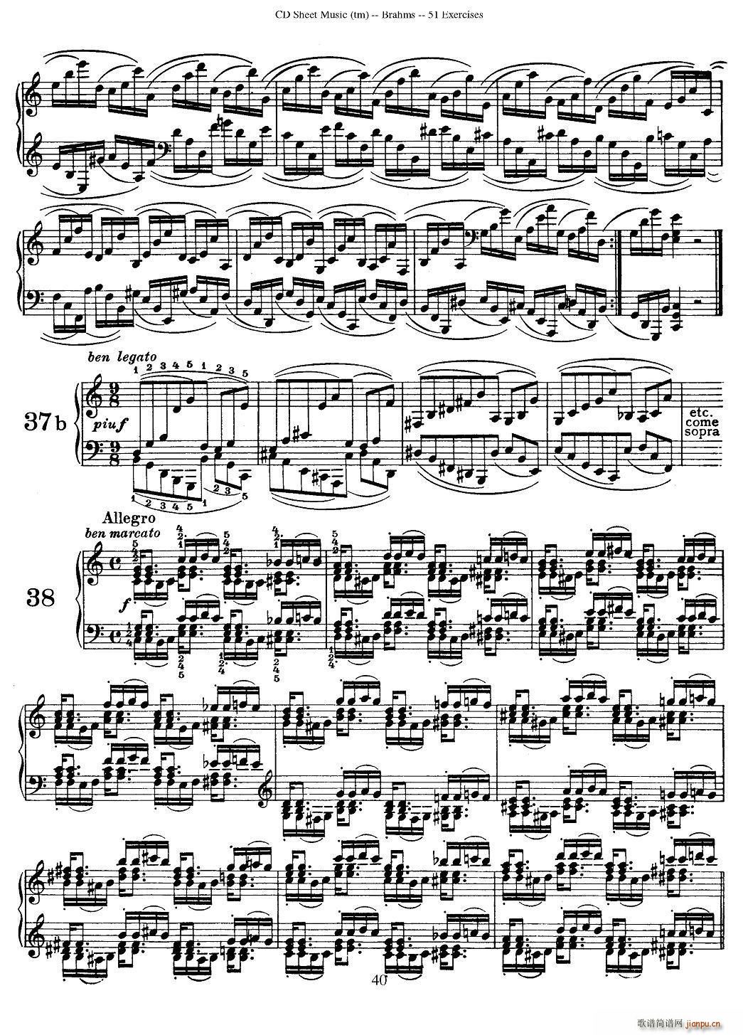 ����ķ˹ 51�׾����� 31 40a(����V)8