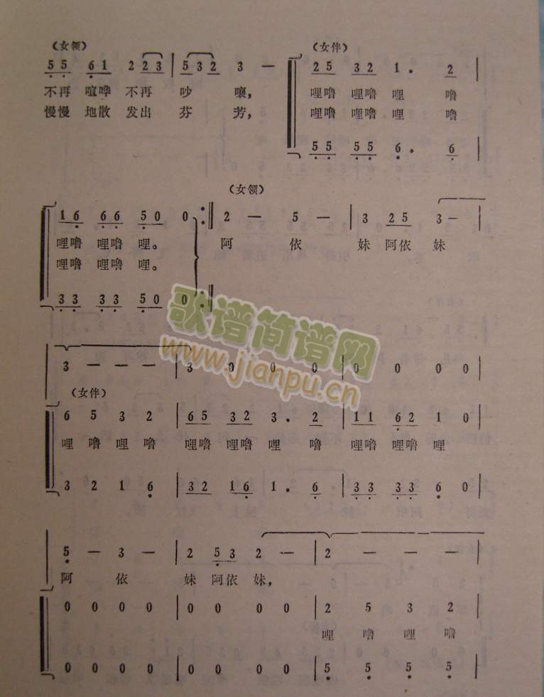 ������(���ָ��V)3