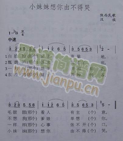 С���������ɲ��ÿ�(���ָ��V)1