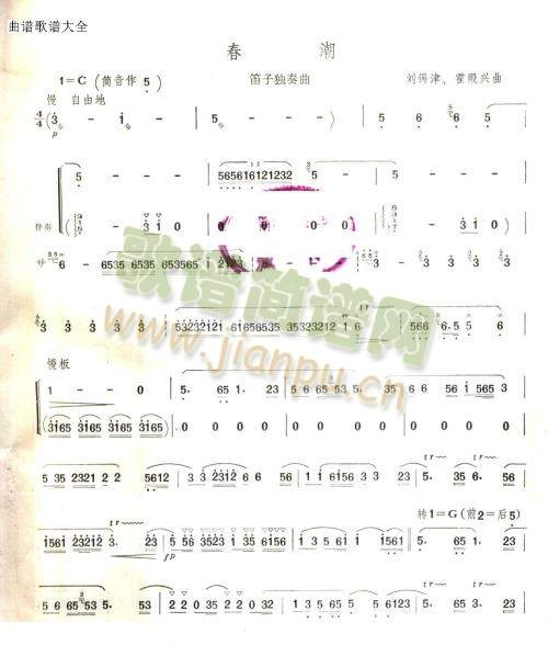 ����(��ʒ�V)1