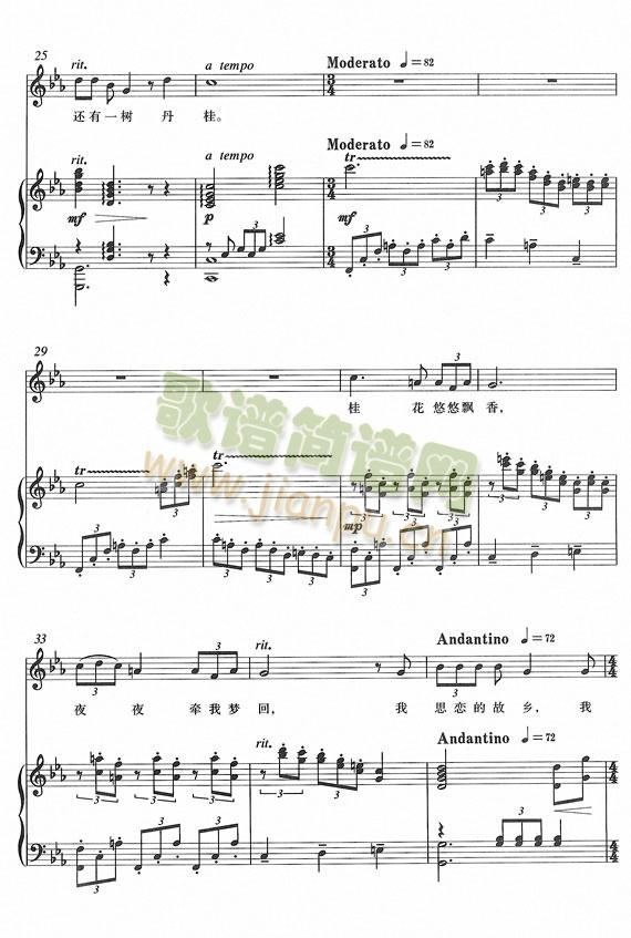 �¹��(����V)3