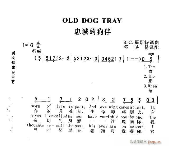 OLD DOG TRAY(ʮ�ּ�����)1