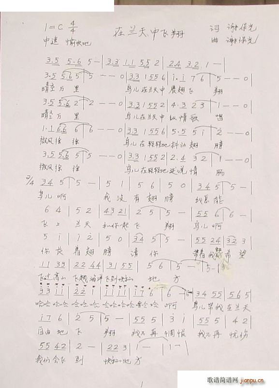 ���{�����w��(���ָ��V)1