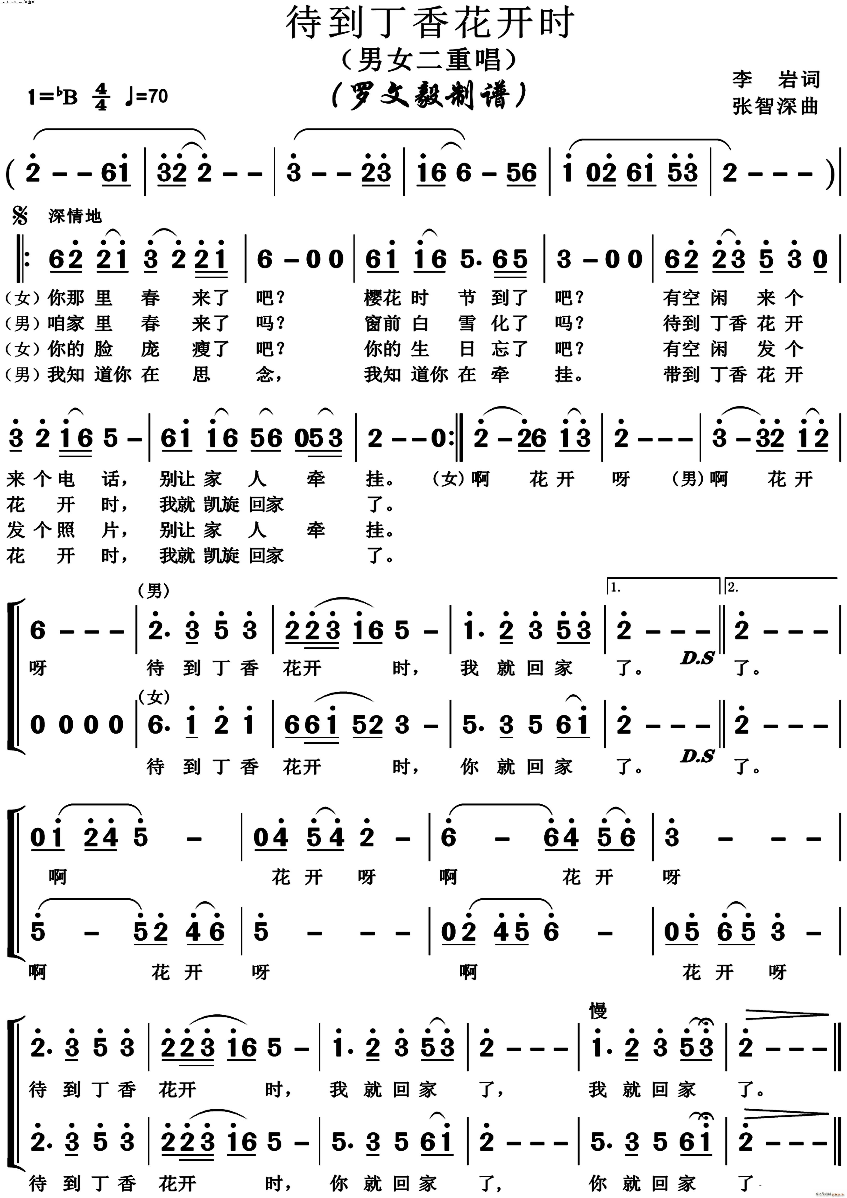 �������㻨�_(k��i)�r(sh��) �������(ʮ�ּ�����)1