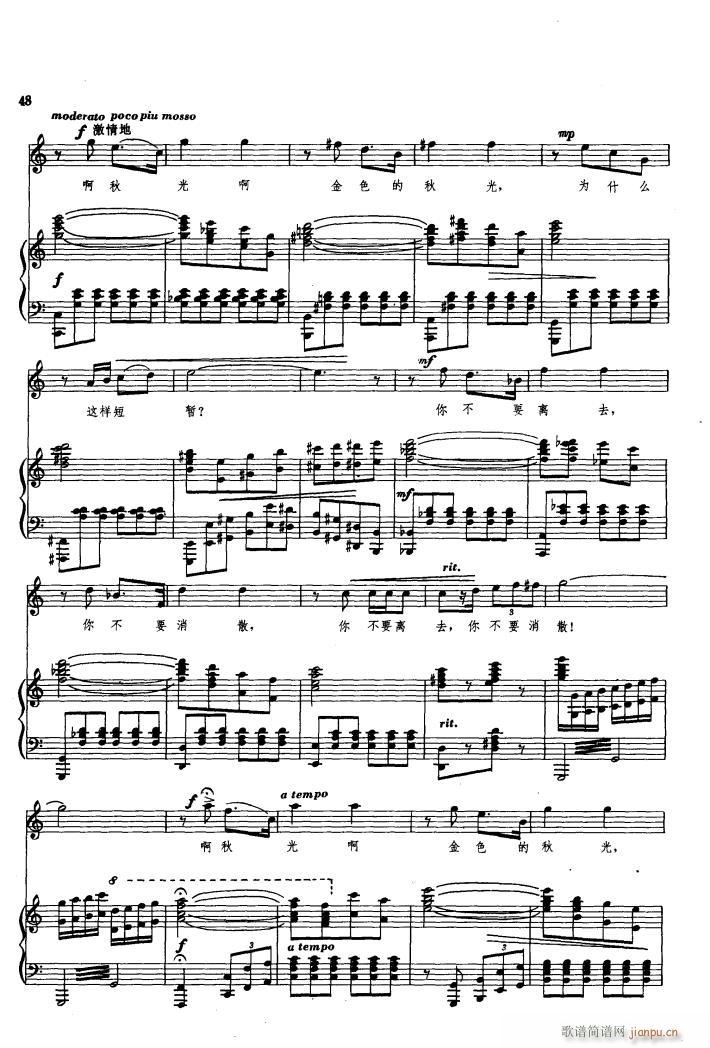 ���� �脡�x���� 䓰��V 01 50(����V)50