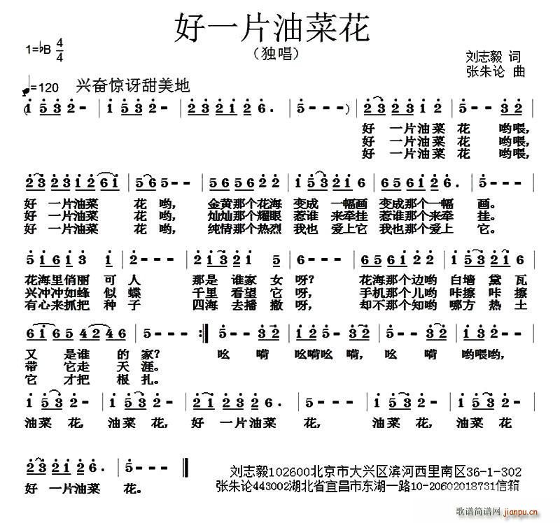 ��һƬ�Ͳ˻�(���ָ��V)1