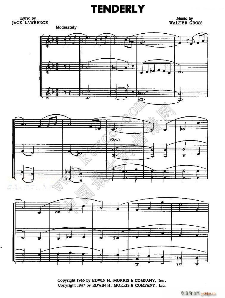 TENDERLY(���ָ��V)1