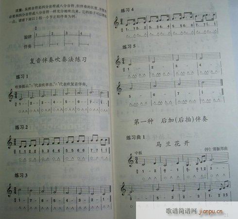 �������ٺ�(ji��n)���̳�(�λɹ��V)1